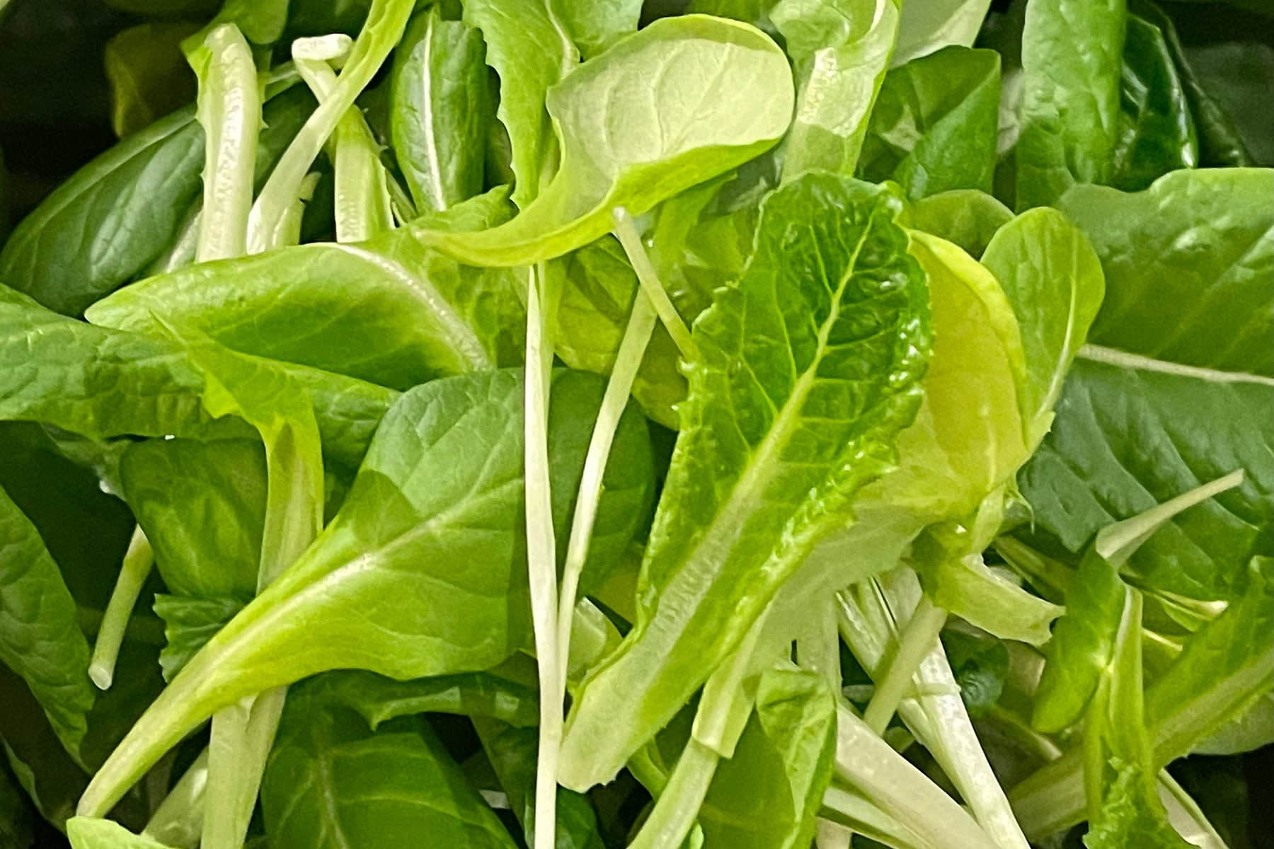 what to eat after tummy tuck to reduce swelling